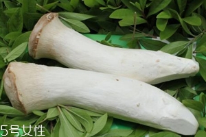杏鮑菇熟了是什么樣？變軟了就能吃