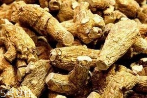 西洋參會過敏嗎？不排除這種可能