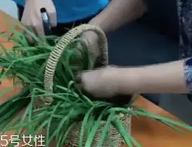 韭菜怎么保存時(shí)間長(zhǎng)？真空保存最持久