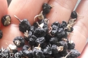 黑枸杞為什么是藍(lán)色？花青素的原因
