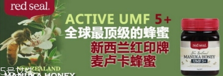 麥盧卡蜂蜜哪個牌子好？