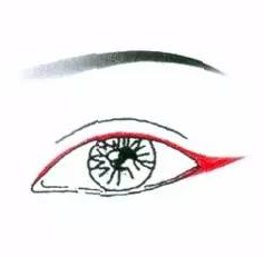 先畫(huà)眼影還是先畫(huà)眼線？先畫(huà)眼影不會(huì)讓眼線暈掉