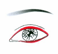 先畫(huà)眼影還是先畫(huà)眼線？先畫(huà)眼影不會(huì)讓眼線暈掉