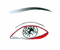 先畫(huà)眼影還是先畫(huà)眼線？先畫(huà)眼影不會(huì)讓眼線暈掉