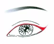 先畫(huà)眼影還是先畫(huà)眼線？先畫(huà)眼影不會(huì)讓眼線暈掉