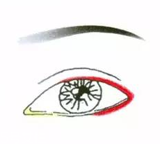 先畫(huà)眼影還是先畫(huà)眼線？先畫(huà)眼影不會(huì)讓眼線暈掉