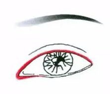 先畫(huà)眼影還是先畫(huà)眼線？先畫(huà)眼影不會(huì)讓眼線暈掉
