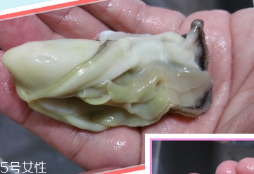 生蠔會(huì)有寄生蟲嗎？不生吃就沒關(guān)系
