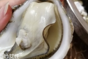 生蠔會有珍珠嗎？有這個可能