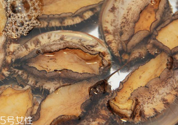 鮑魚罐頭怎么打開？像八寶粥一樣拉開