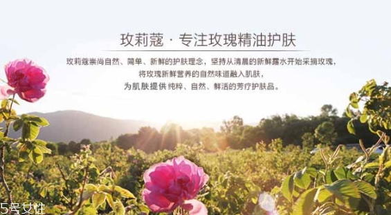 玫莉蔻護(hù)膚品怎么樣？主打玫瑰的護(hù)膚品牌