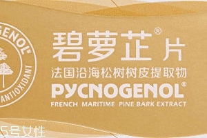 碧蘿芷到底好不好？帶你了解碧蘿芷