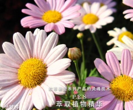 歐萃碧護(hù)膚品怎么樣？法國(guó)藥妝品牌