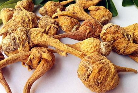 玄參可以長期泡水喝嗎 久服會(huì)傷脾