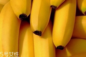仙人蕉多少錢一斤？