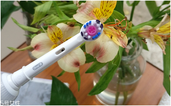 歐樂b電動牙刷怎么樣？四個(gè)刷頭很好用