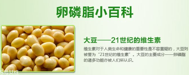 卵磷脂什么時候吃最好？早晚飯前最佳
