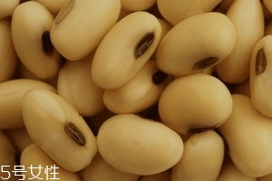 卵磷脂通乳嗎？這個(gè)還不一定