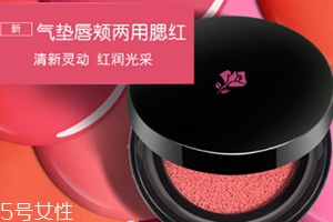 2022氣墊腮紅哪個(gè)牌子好用？