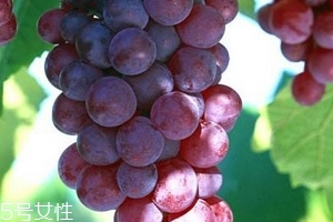 葡萄籽會(huì)推遲月經(jīng)嗎？一般不會(huì)