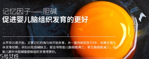 黃金素和dha可以一起吃嗎？