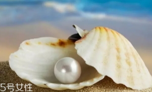 南洋珍珠是海水珍珠嗎？