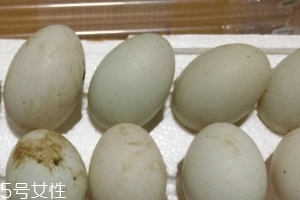 鴨蛋是酸性還是堿性？鴨蛋的性質(zhì)