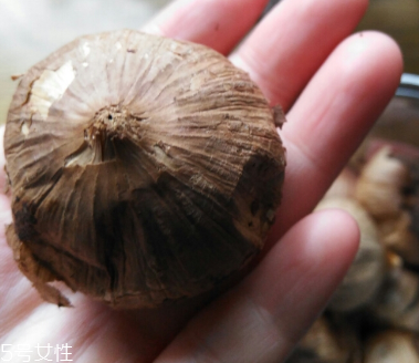 黑蒜的價格多少錢一斤？黑蒜很貴嗎？