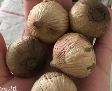 黑蒜怎么吃？黑蒜最好吃的吃法