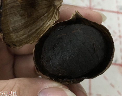 黑蒜是種植出來的嗎？黑蒜怎么來的