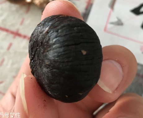黑蒜是種植出來的嗎？黑蒜怎么來的