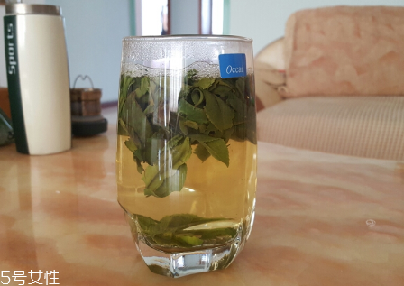 六安瓜片是什么茶？六安瓜片好喝嗎？