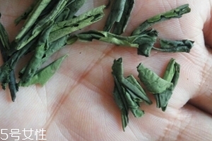 六安瓜片是紅茶還是綠茶？
