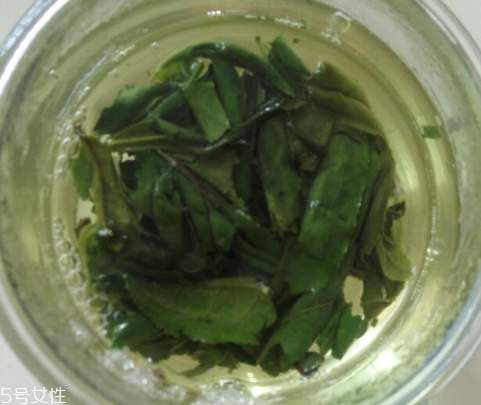 六安瓜片是紅茶還是綠茶？