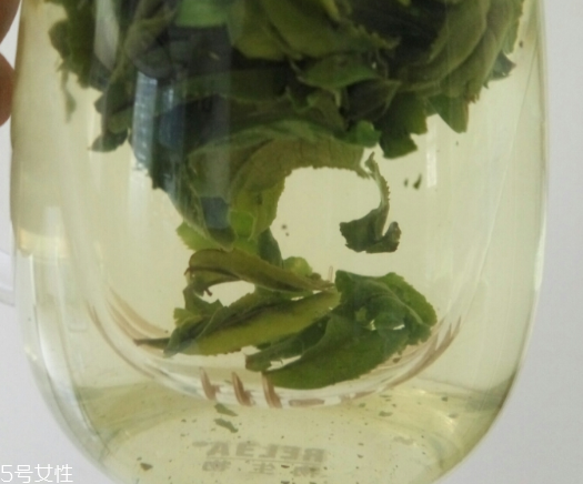 六安瓜片是紅茶還是綠茶？