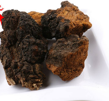 樺樹茸怎么吃？樺樹茸正確吃法