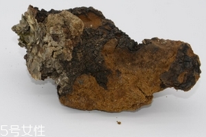 樺樹茸是中藥嗎？樺樹茸屬于中藥嗎