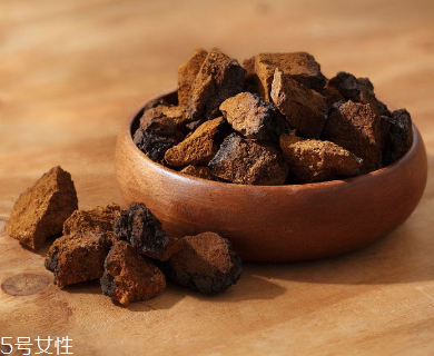 樺樹茸是中藥嗎？樺樹茸屬于中藥嗎