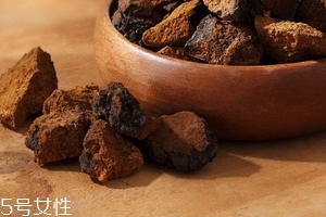 樺樹(shù)茸是樹(shù)黃嗎？樺樹(shù)茸屬于什么