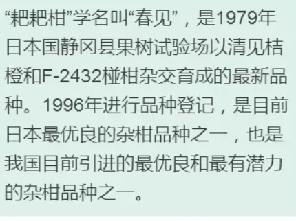 枇杷柑是丑橘嗎？枇杷柑和丑橘的區(qū)別