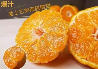 丑八怪可以放冰箱嗎？丑八怪怎么保存