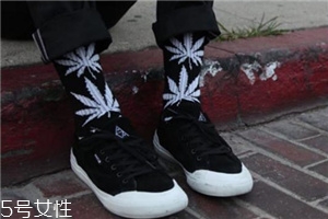 楓葉襪子是什么牌子？楓葉襪子品牌介紹