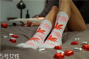 楓葉襪子正品多少錢？楓葉襪子價格詳情