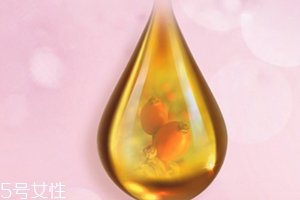 玫瑰果油可以天天用嗎？玫瑰果油多久用一次