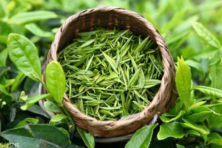伊索綠茶調理液適合油皮嗎 aesop綠茶調理液適合膚質