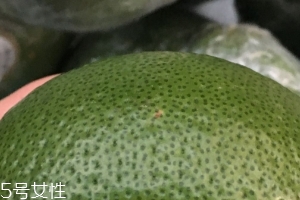 青檸檬是酸性還是堿性？青檸檬性質(zhì)