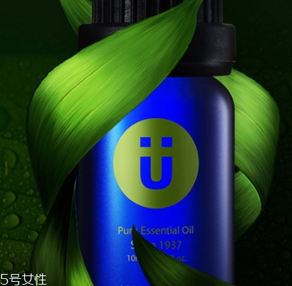 尤加利精油味道是什么？好聞嗎