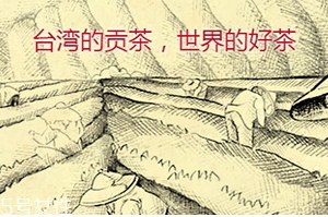 四云奶蓋貢茶哪個(gè)好喝？四云奶蓋貢茶點(diǎn)單攻略