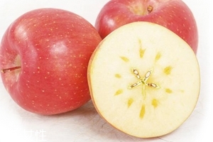 冰糖心蘋果怎么挑？冰糖心蘋果特點(diǎn)