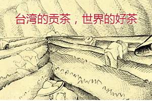 四云奶蓋貢茶哪個(gè)好喝？四云奶蓋貢茶點(diǎn)單攻略